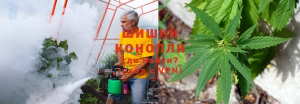 2c-b Горнозаводск