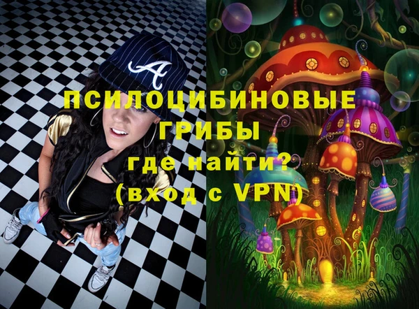 2c-b Горнозаводск