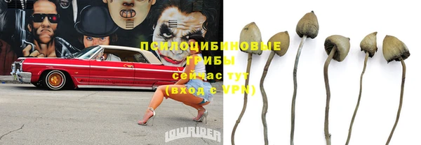 2c-b Горнозаводск