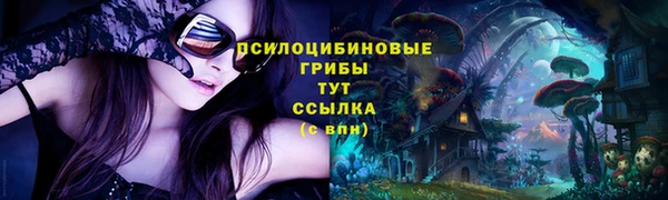 бутират Горно-Алтайск